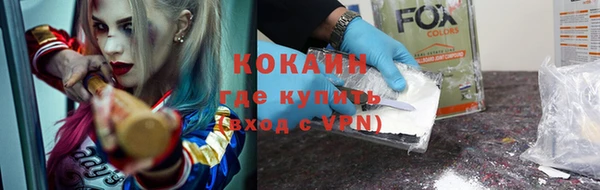прущие грибы Каменск-Шахтинский