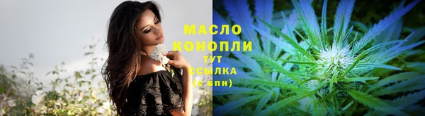 прущие грибы Каменск-Шахтинский