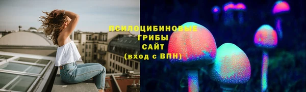 прущие грибы Каменск-Шахтинский