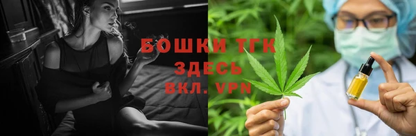 прущие грибы Каменск-Шахтинский