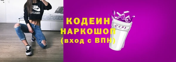 СК Каменка