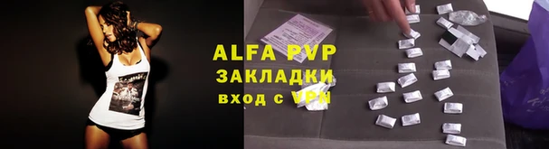 экстази Каменногорск