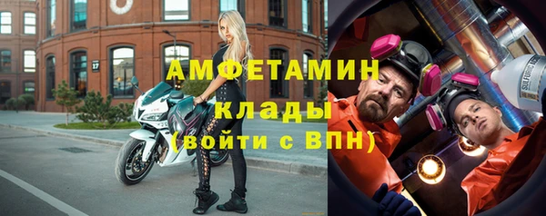 прущие грибы Каменск-Шахтинский
