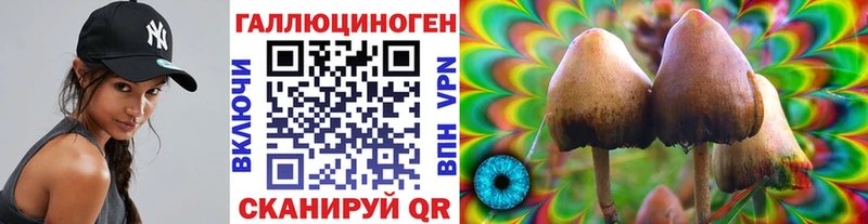 Галлюциногенные грибы Cubensis Ялта
