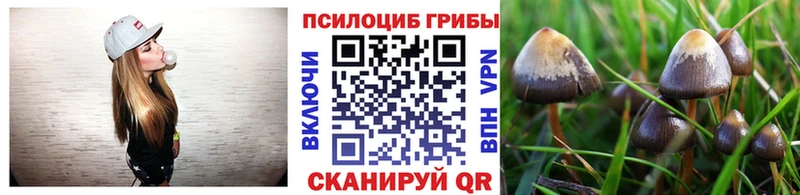 Псилоцибиновые грибы Cubensis  Купить где  Ялта 