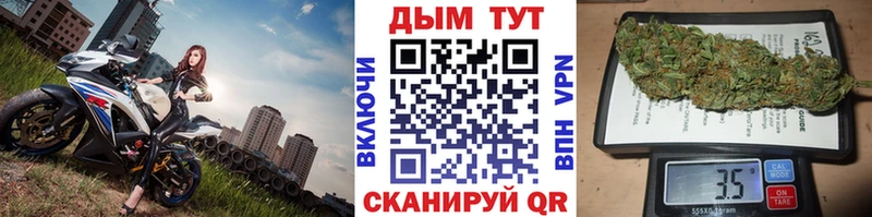 Купить закладки  Ялта  Каннабис сатива 